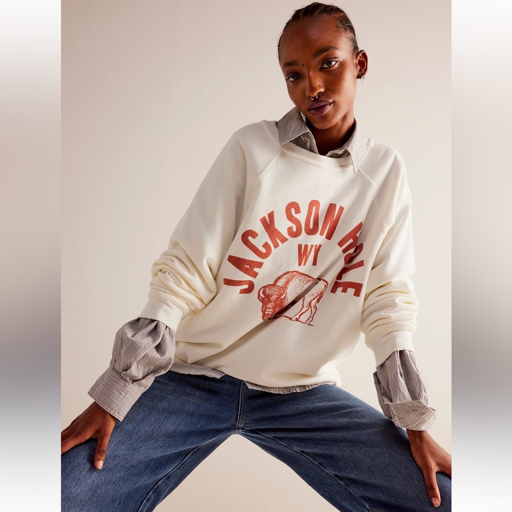 Free People Jackson Hole Crewneck sweatshirt, size L